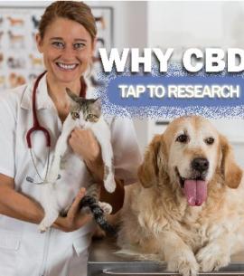 Dyno Brands Platinum Pet Formula CBD Oil Tinctures - Research and References