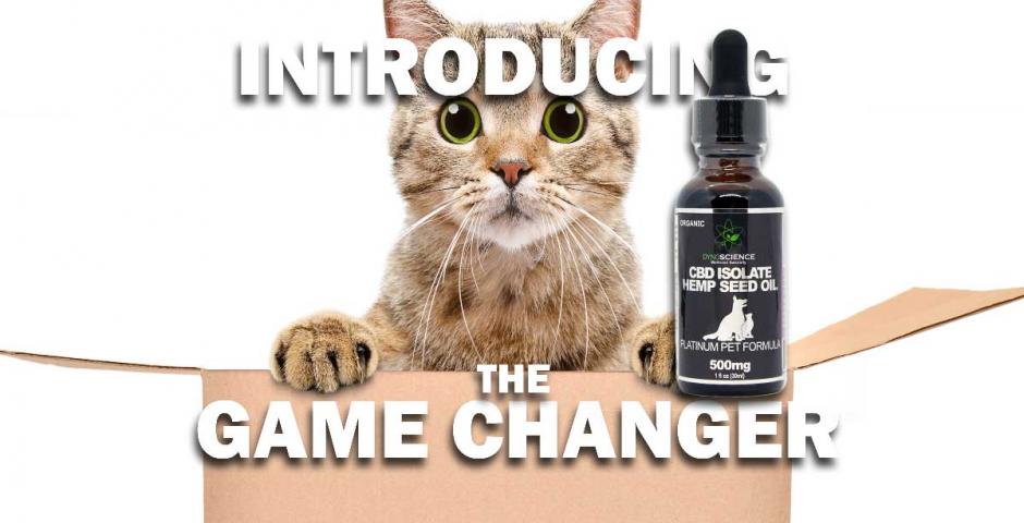 Dyno Brands Platinum Pet Formula CBD Oil Tinctures