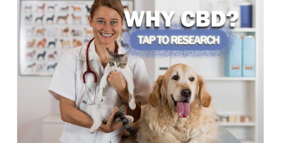 Dyno Brands Platinum Pet Formula CBD Oil Tinctures - Research and References